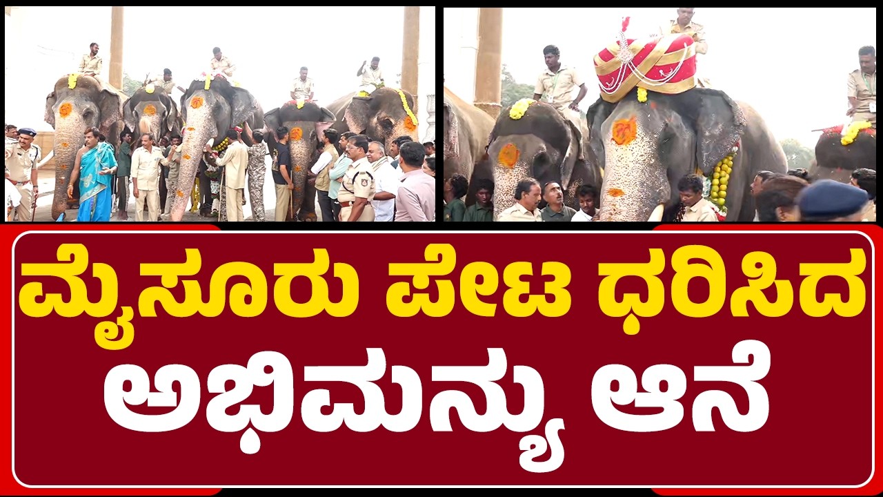 Mysuru Dasara 2026 : ಮೈಸೂರು ಪೇಟ ಧರಿಸಿದ ಅಭಿಮನ್ಯು ಆನೆ | Mysuru Palace | @newsfirstmysuru