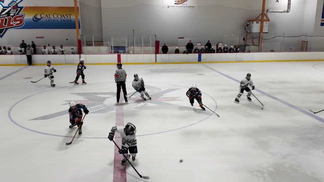 2026.01.25.Ice Dogs 12UA vs Jr Gulls 2nd Period