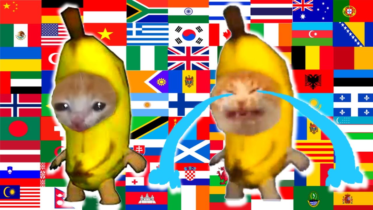 Happy Banana Cat in 70 different languages