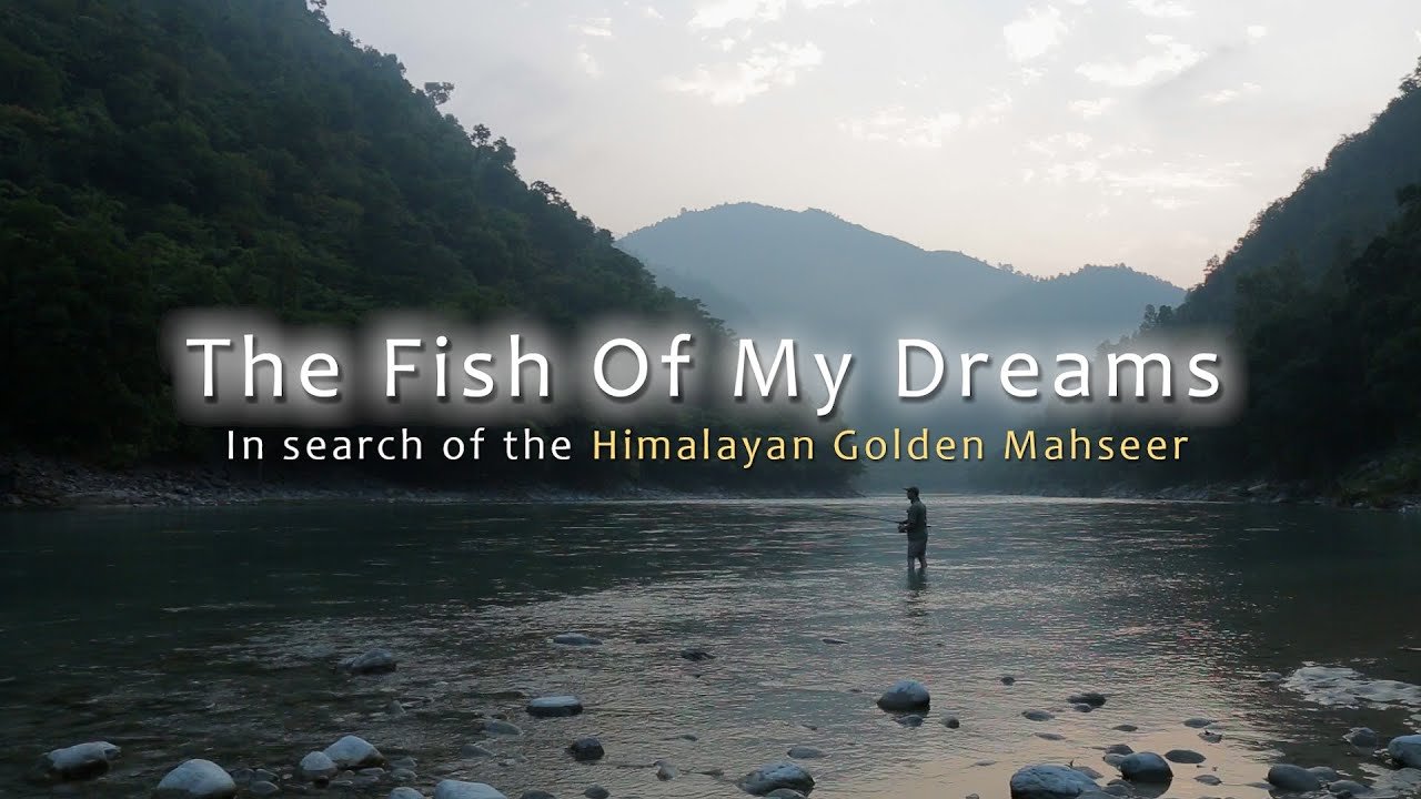 The Fish Of My Dreams - In search of the Himalayan Golden Mahseer - Full Film