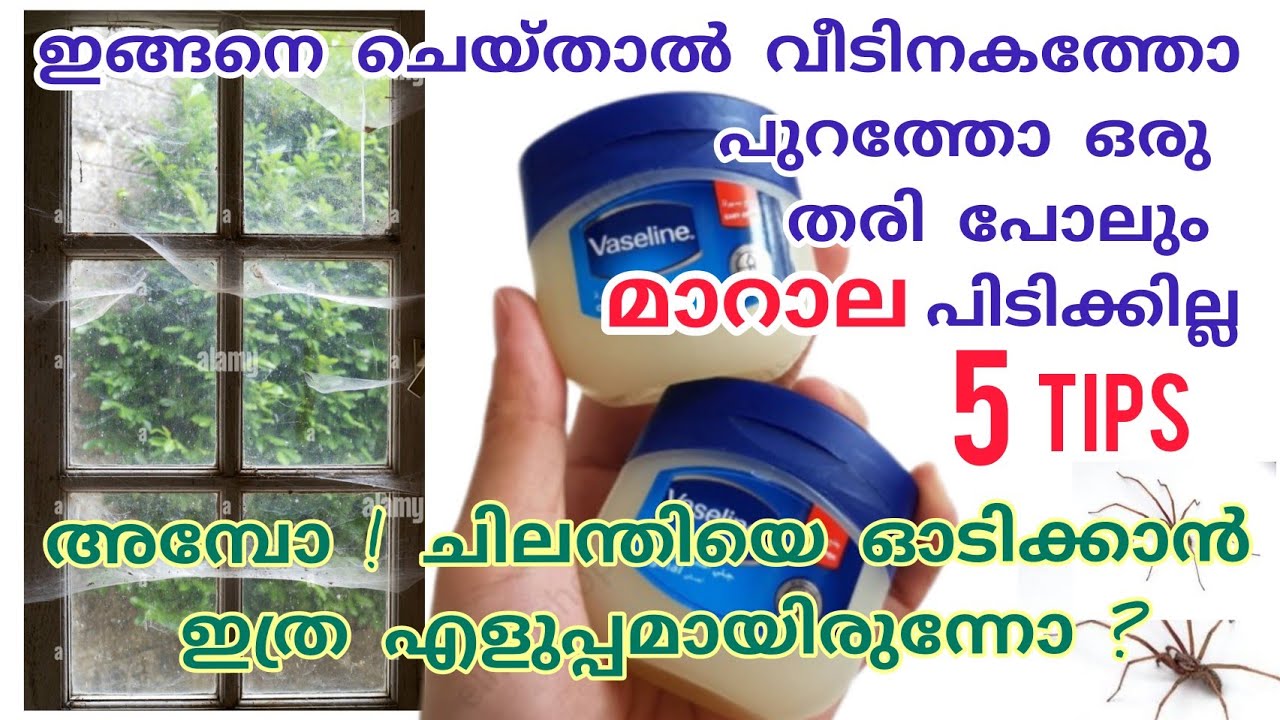 എത്ര വലിയ വീടും ഈസിയായി ക്ലീൻ ചെയ്യാനും മാറാല പിടിക്കാതിരിക്കാനുമുള്ള സൂത്രങ്ങൾ | Kitchen Tips