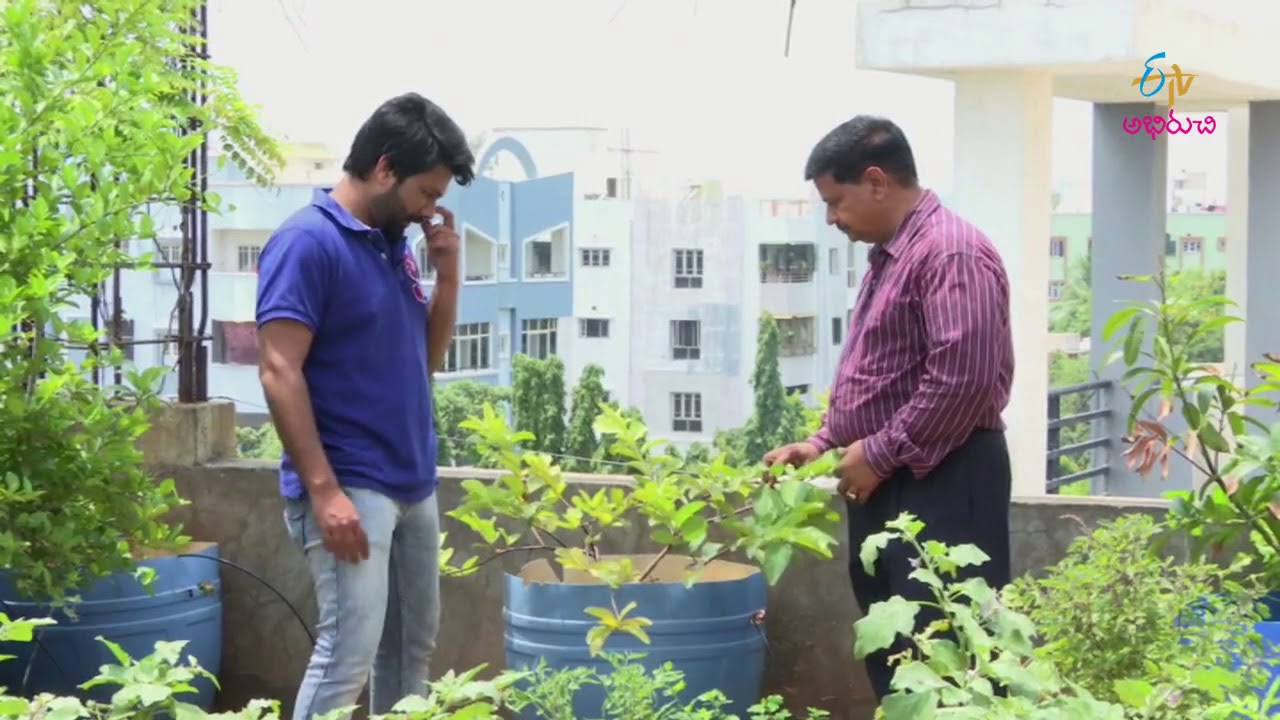 Kitchen Gardening | Perati Ruchulu | 21st September 2017 | Full Episode | ETV Abhiruchi