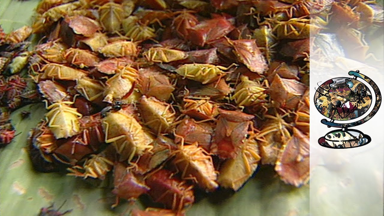 Munching On Bugs In Northern Thailand (2000)