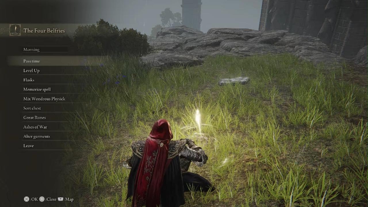 Grafted scion, parry practice (didn't mean to kill it)