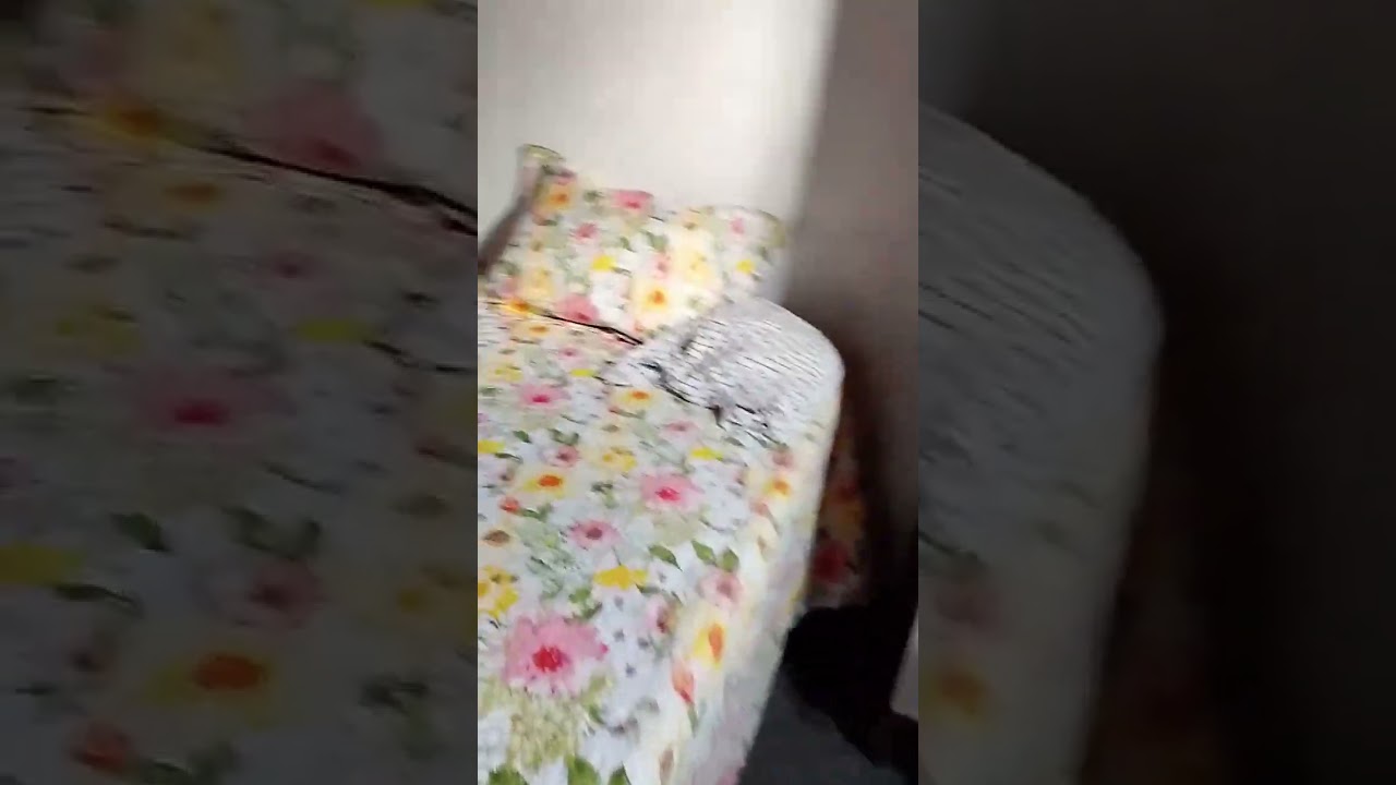 14 de fevereiro de 2026
