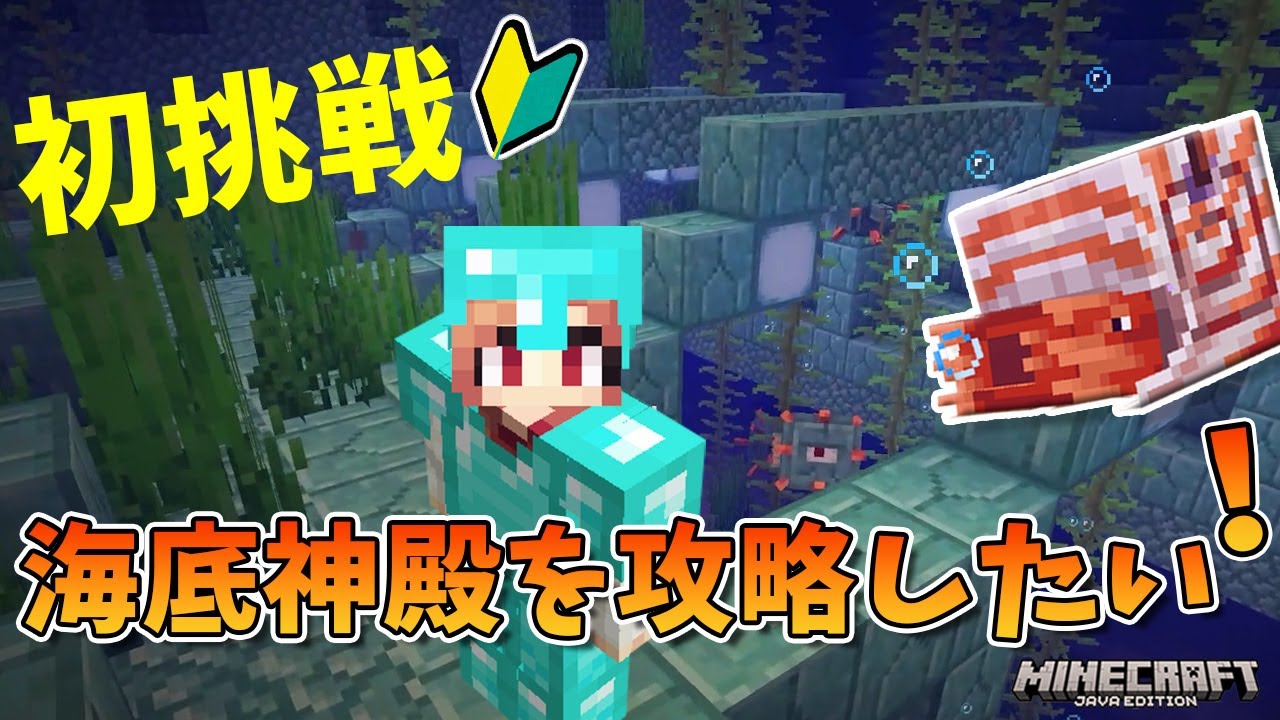 初挑戦！海底神殿を攻略したい！　オウムガイと一緒に戦う？！　ポーション無し、トライデント無しのドタバタ攻略！　　#マイクラ　 #minecraft
