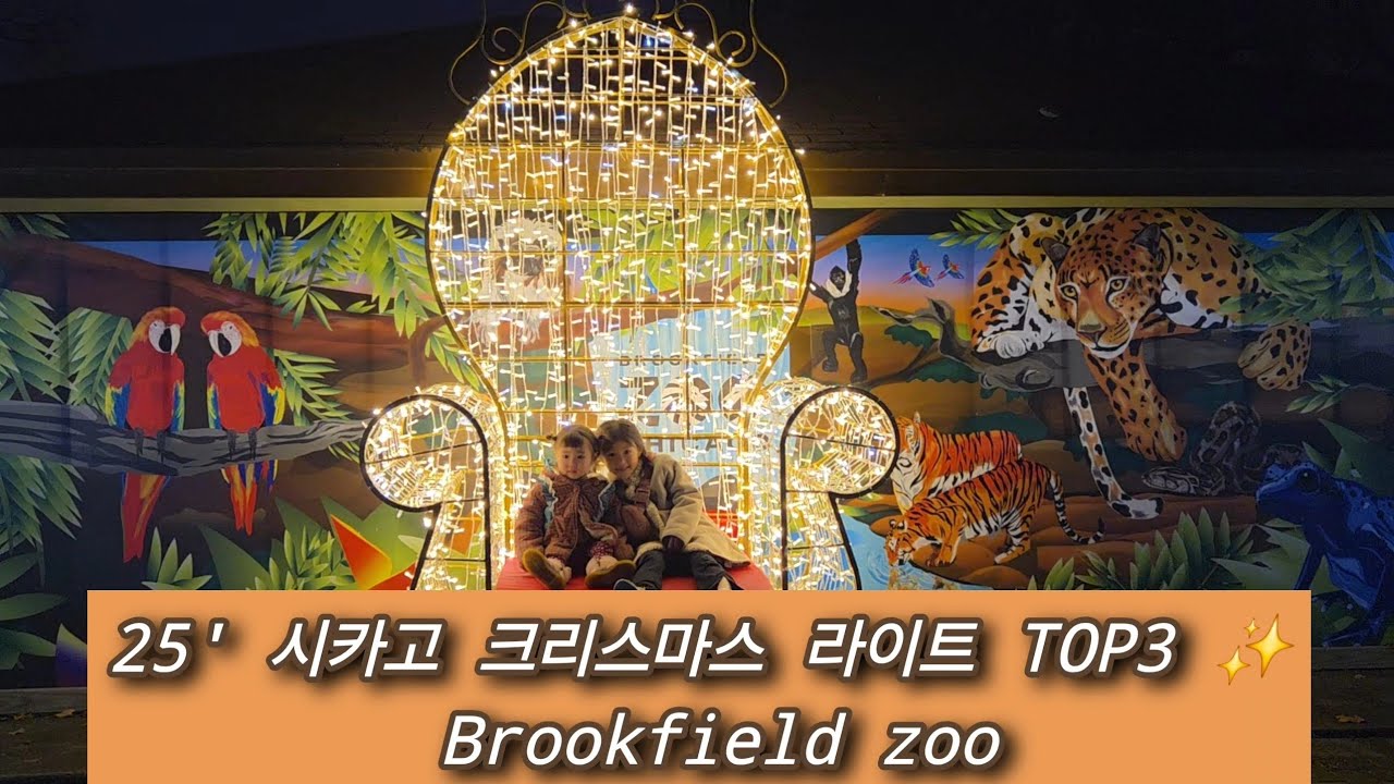 [US Dalimi 21 미국다리미티비] 브룩필드 주 할리데이 라잇 20251226 #brookfieldzoo #holidaylighting #크리스마스 #미국연말 20251226