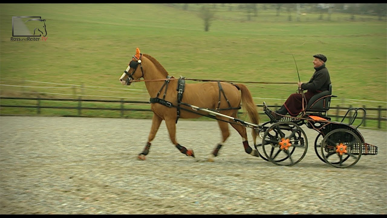 Rollehof