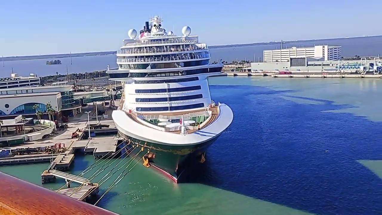 MSC grandiosa!! 🚢