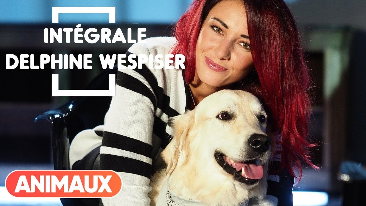 Delphine Wespiser (Miss France 2012) est dans Animaux Stars - Animaux