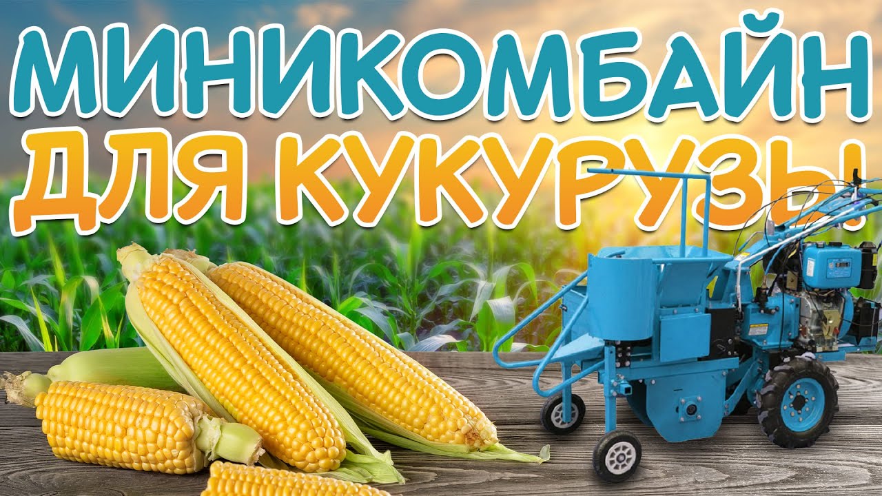 Миникомбайн для КУКУРУЗЫ | ищем ПОПУЛЯРНЫЙ и доступный