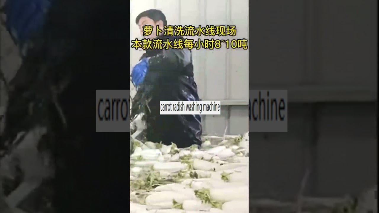 A  8T to 10T carrot  radish washing machine automatic vegetable process machinery equipment