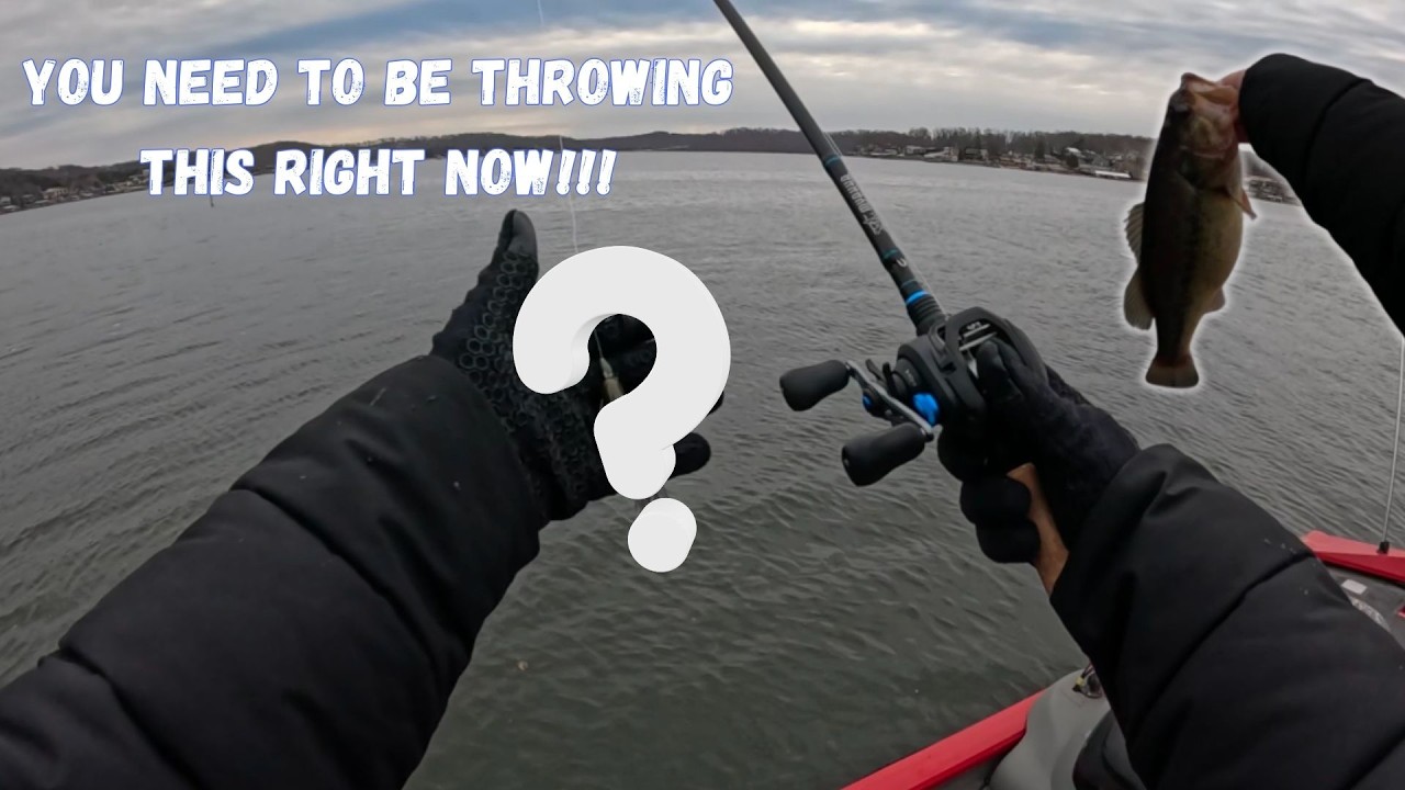 YOU NEED TO BE FISHING THIS FORGOTTEN LURE! | Lake of The Ozarks Bass Fishing | Winter Fishing Tips