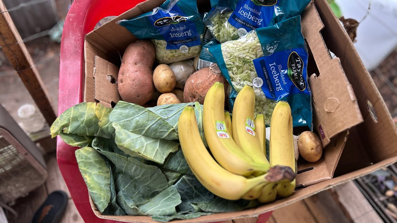Produce Thursday. #FoodBankHaul      2Drs update’s 