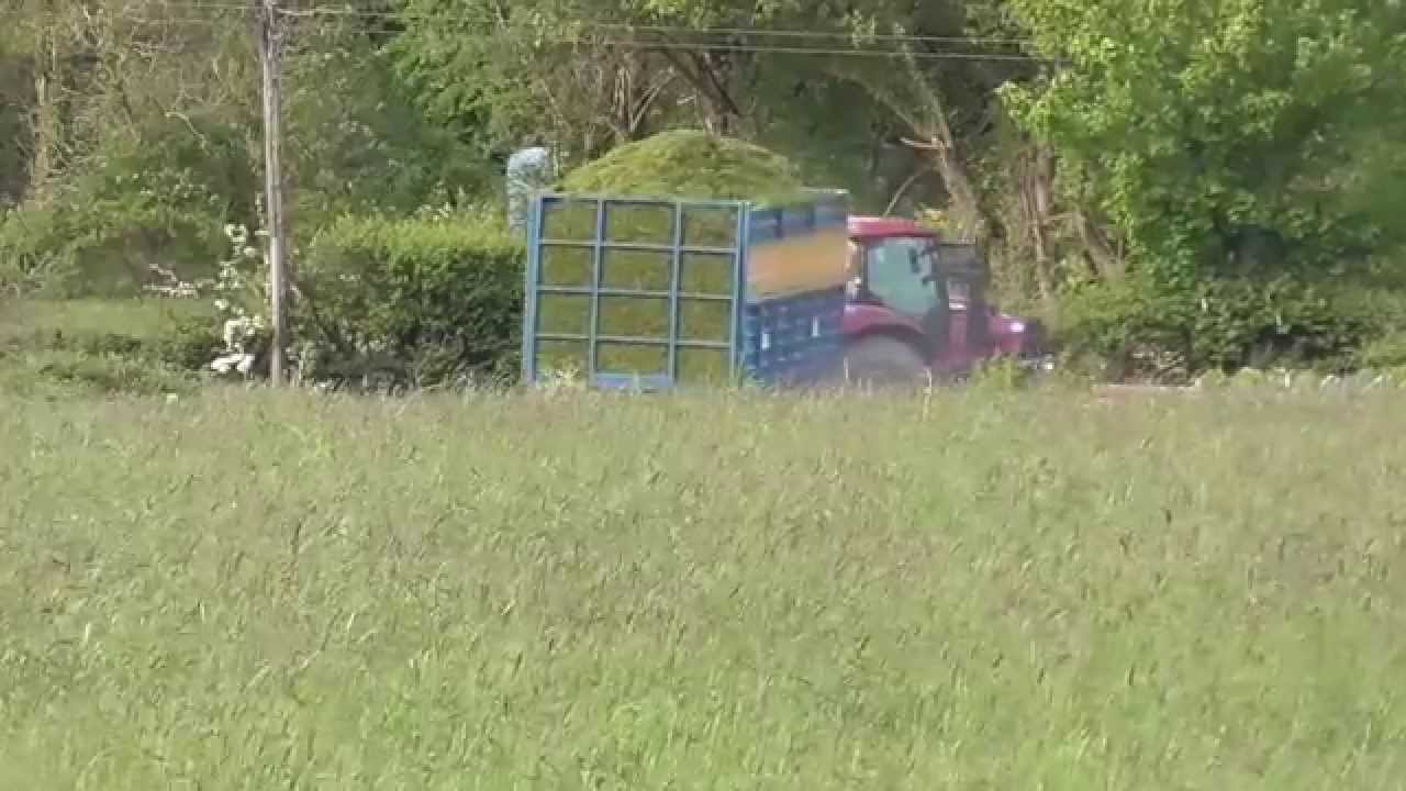 Sheltons Silage 2014 Part Two