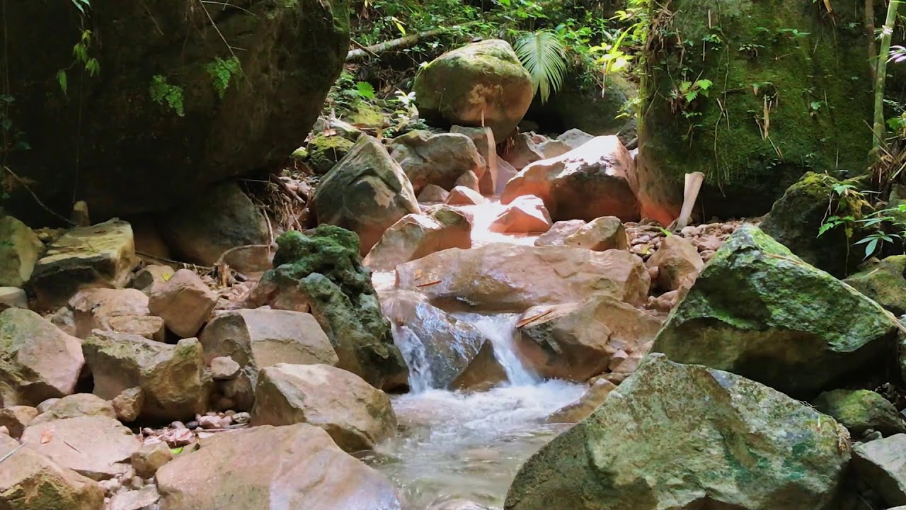 Quiet Wilderness Water with Stress-Free Vibes for Focus, Sleep & Healing