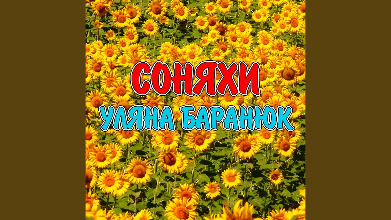 Соняхи