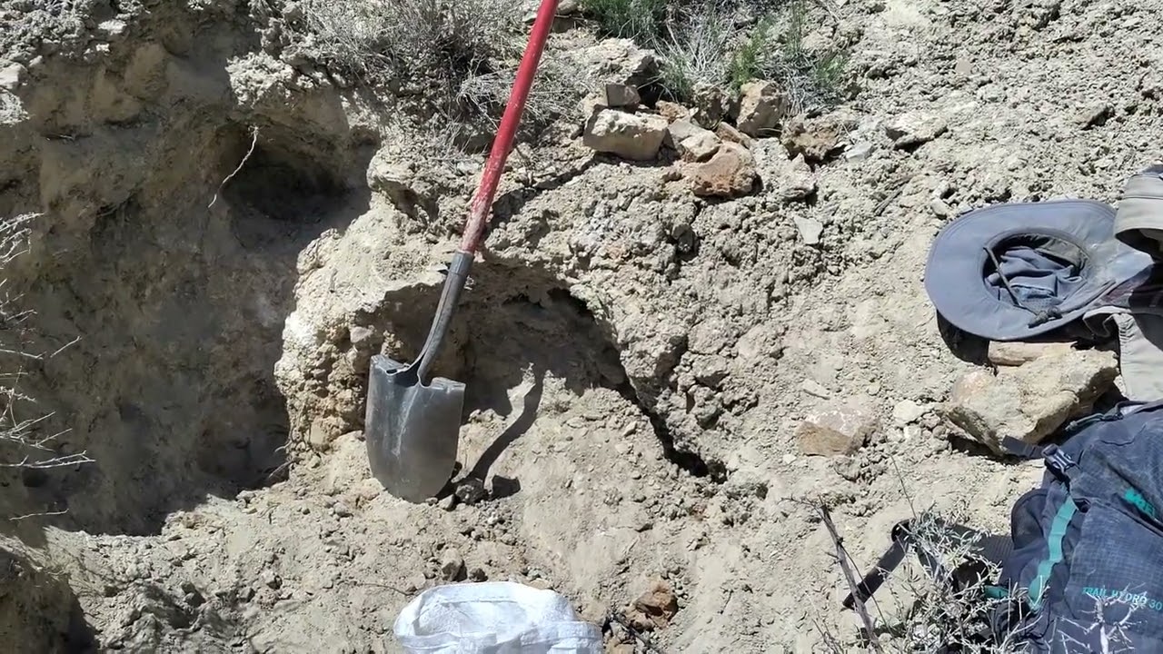 Potential New Gold Find