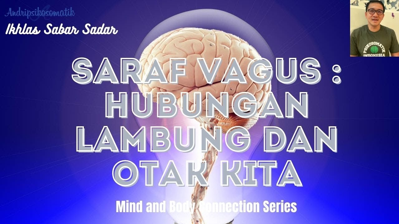 Hubungan Lambung dan Otak Kita : Mekanisme Saraf Vagus