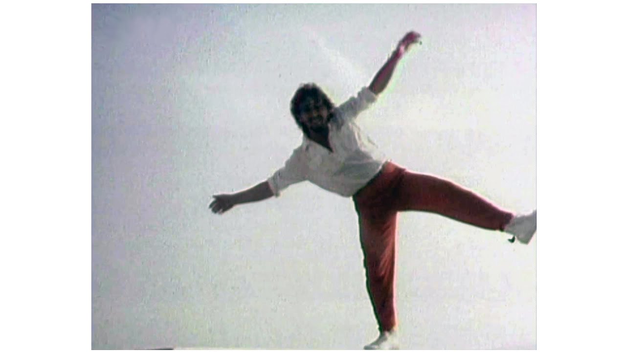 Dalibor Janda - 