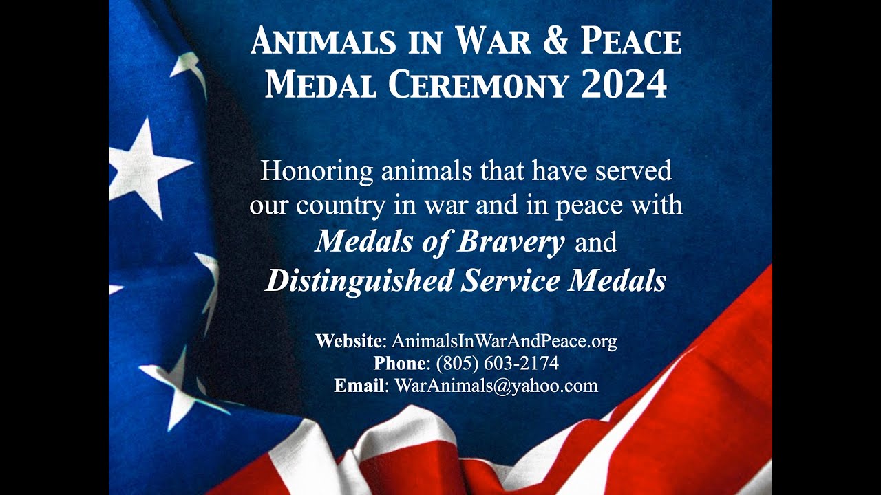 2024 Animals in War & Peace Medal Ceremony - with interviews