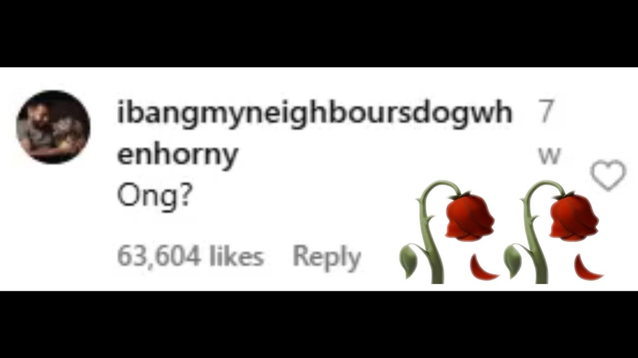 HILARIOUS Instagram Comments #3