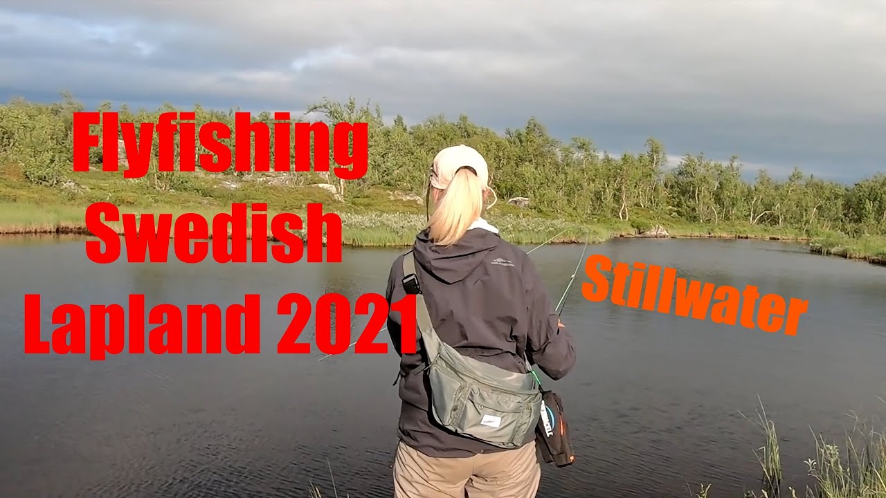 Flyfishing Swedish Lapland 2021 Stillwater