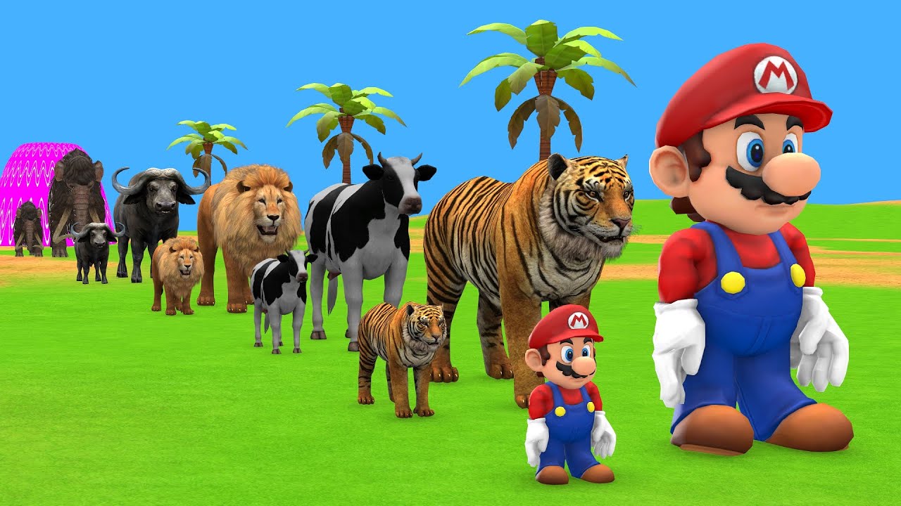 Long Slide Game With Cow Elephant Gorilla Hippopotamus Tiger 3d Animal Game Funny 3d Animals