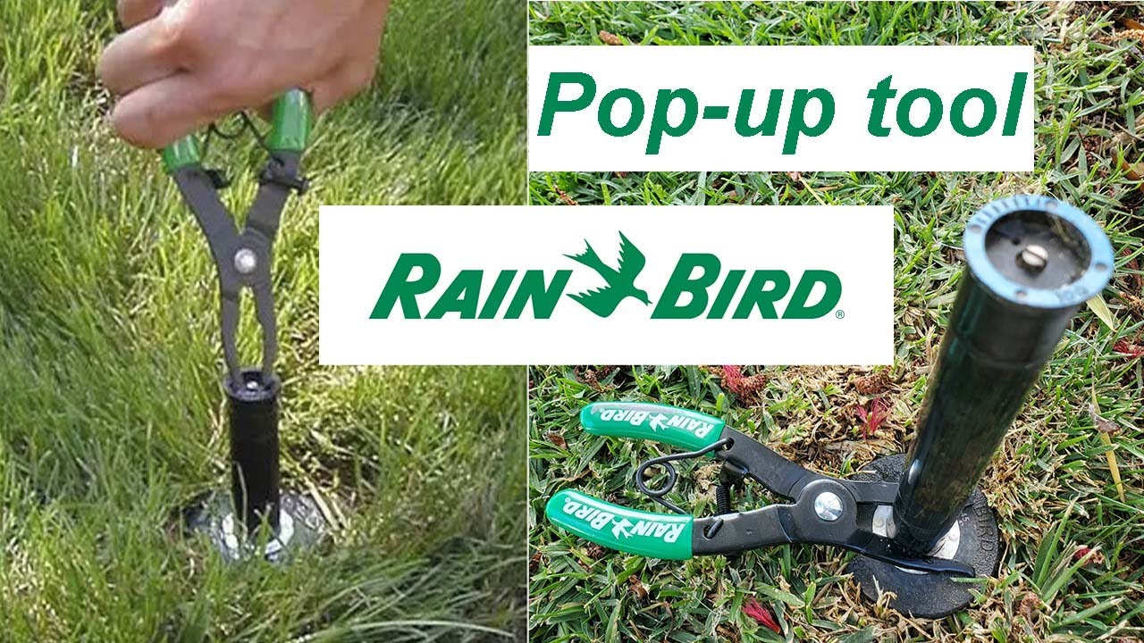 Rain Bird Popup Pull-up tool | You NEED this snazzy tool | Tool series #1