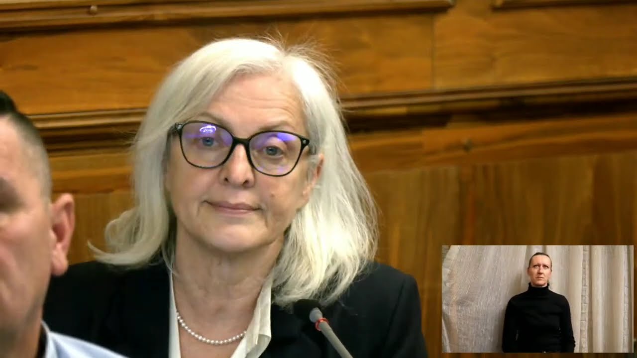 Gradsko vijeće!