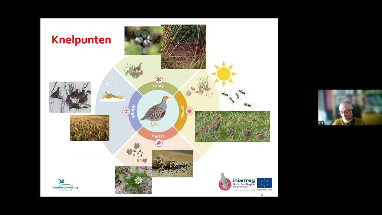 BoerenNatuur Kennisuur - De patrijs