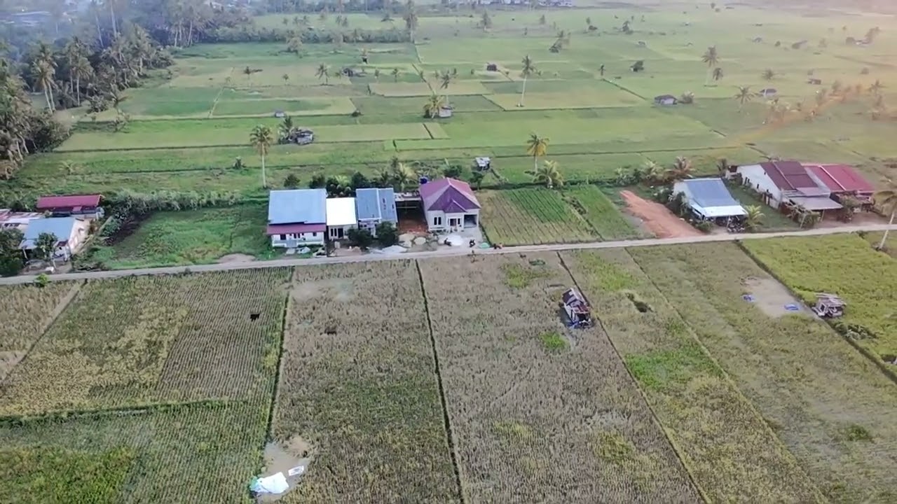 SAWAH  BUKIT BATU SINGKAWANG, KALBAR