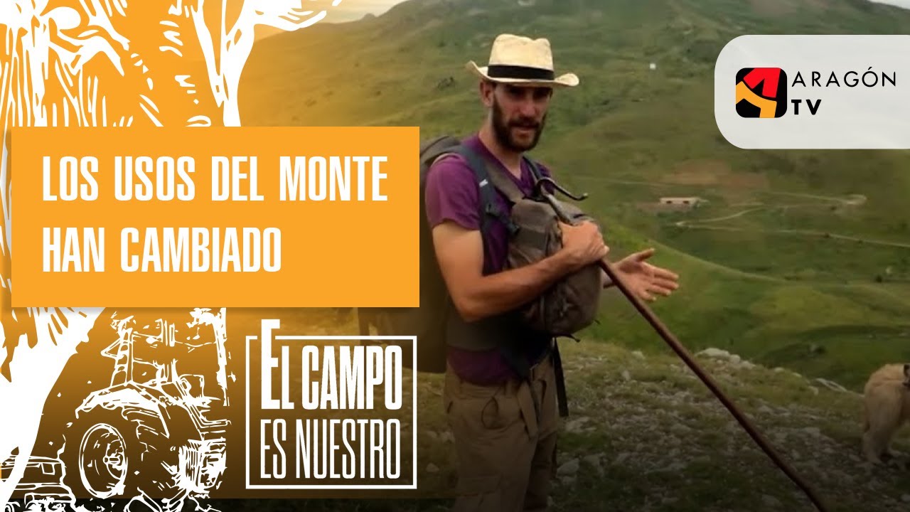 Los usos del monte del valle de Gistaín han cambiado