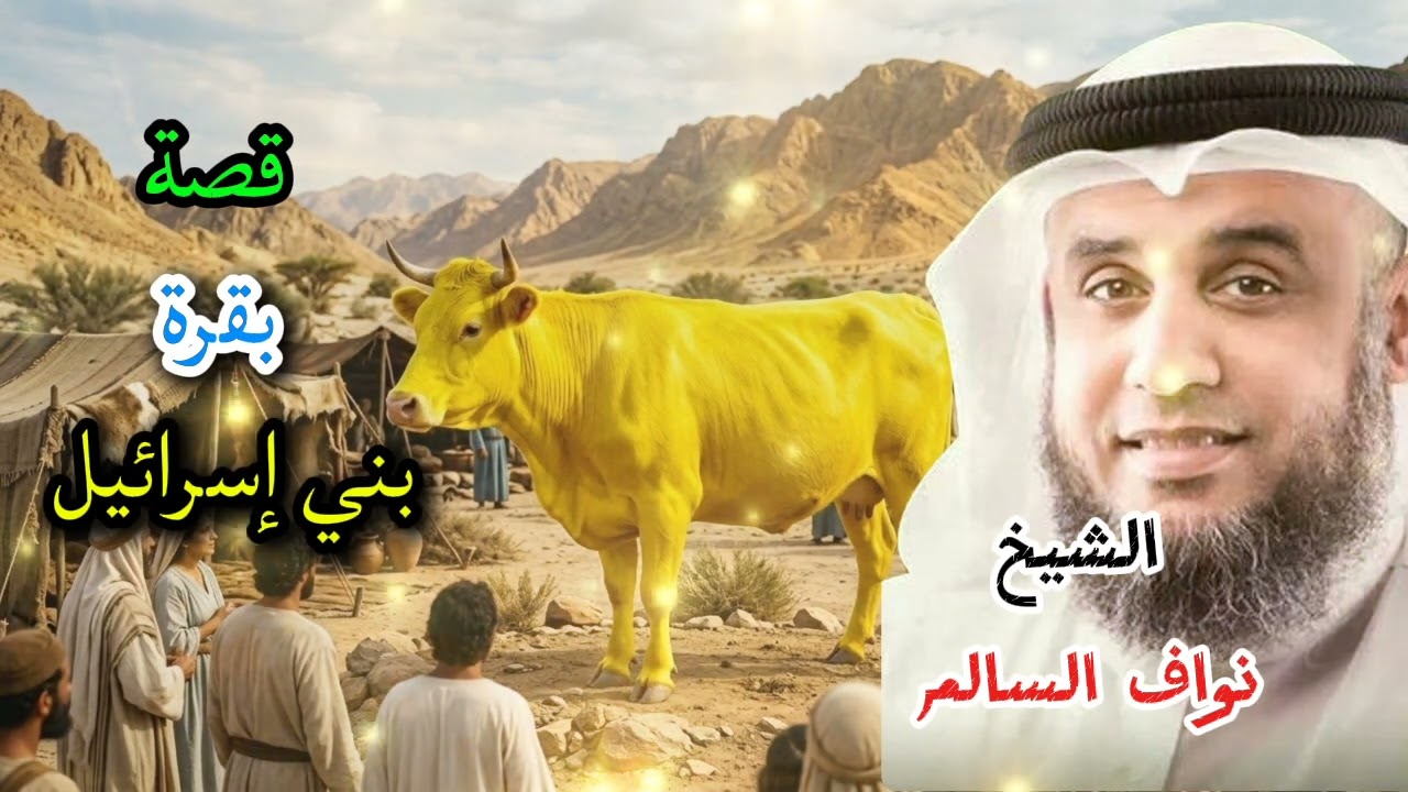 أغرب قصة في تاريخ بني إسرائيل.. ماذا حدث مع البقرة الصفراء؟@