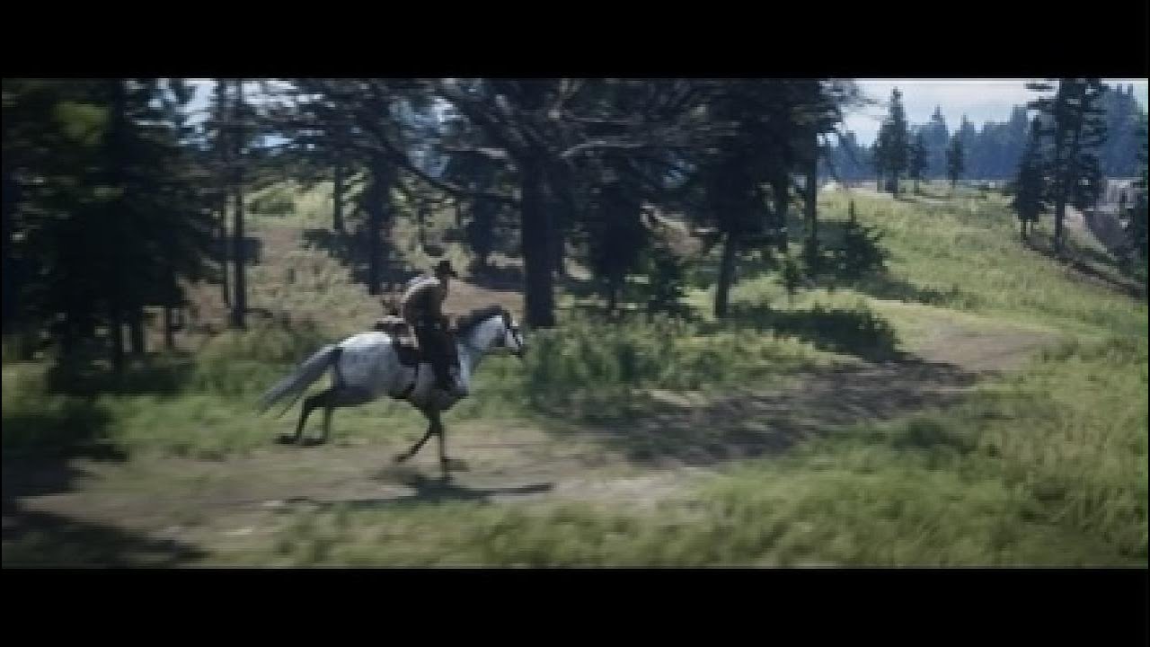 Red Dead Redemption 2, mision asesino en serie encuentra el 2 mapa.