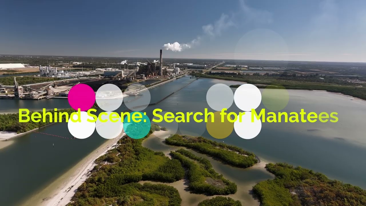 Behind Scene manatees search 