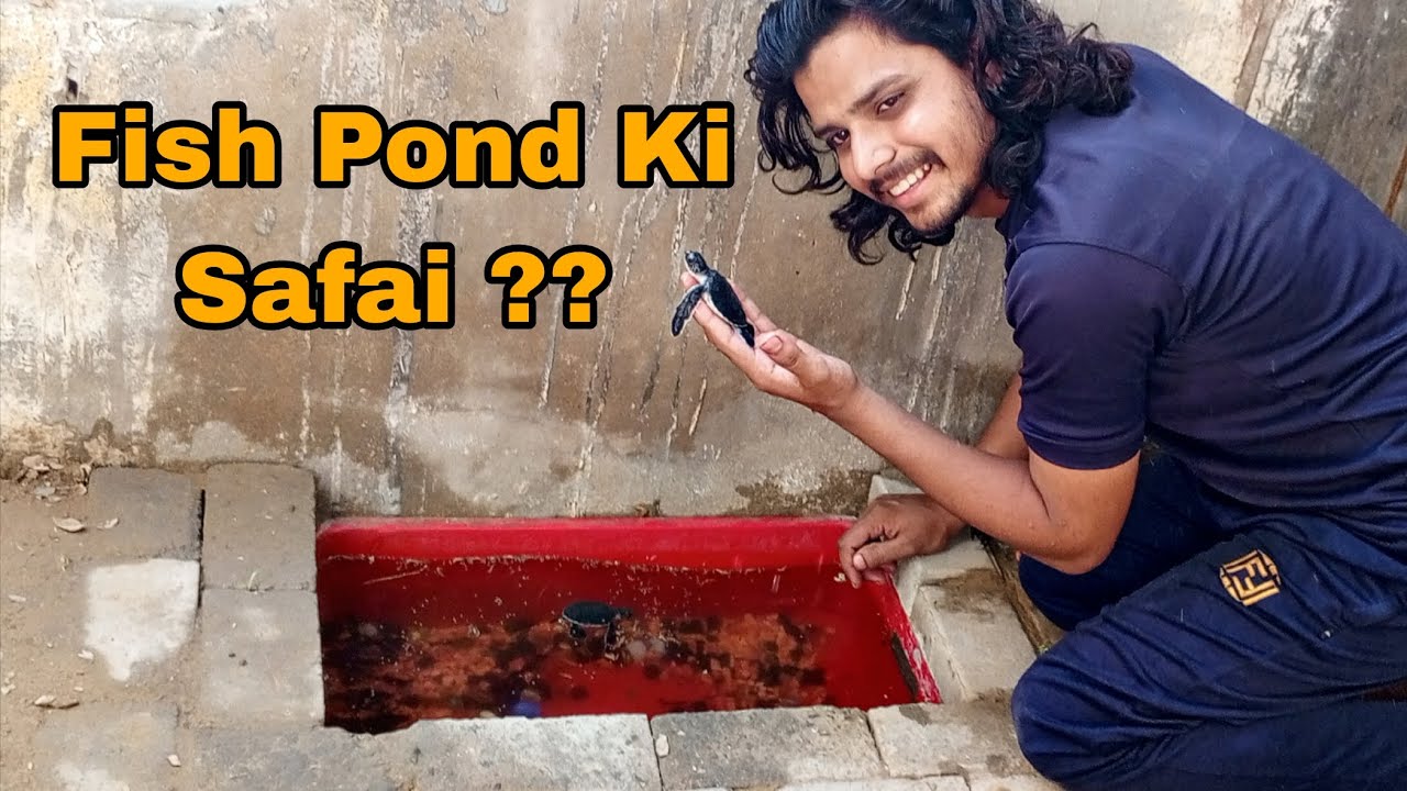 Aaj Fish Pond Saaf Kar Diya 