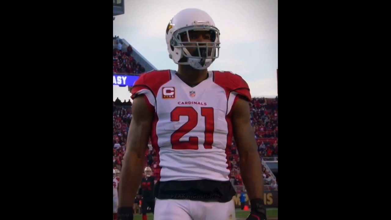Patrick Peterson SHUTDOWN Megatron 😮&zwj;💨 #nfl #patrickpeterson #viral #edit