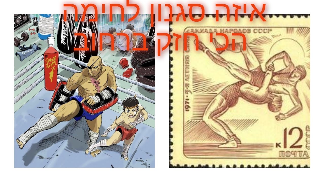 איזה סגנון לחימה הכי חזק ברחוב...