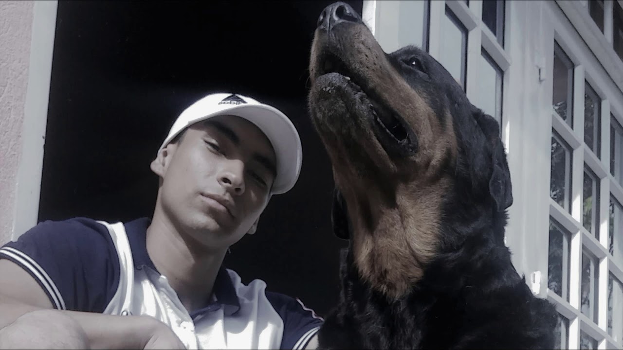 gcruz - WELCOME