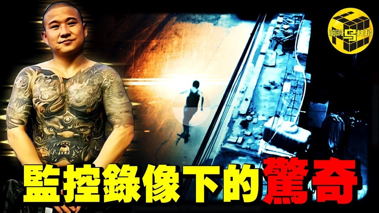 監控錄像下的驚奇一幕：黑社會老大挑釁老實路人，居然瞬間反遭KO！一起大快人心的案件為何會掀起輿論風暴？深扒改寫中國正當防衛法的“昆山龍哥案” [She's Xiaowu 小烏]