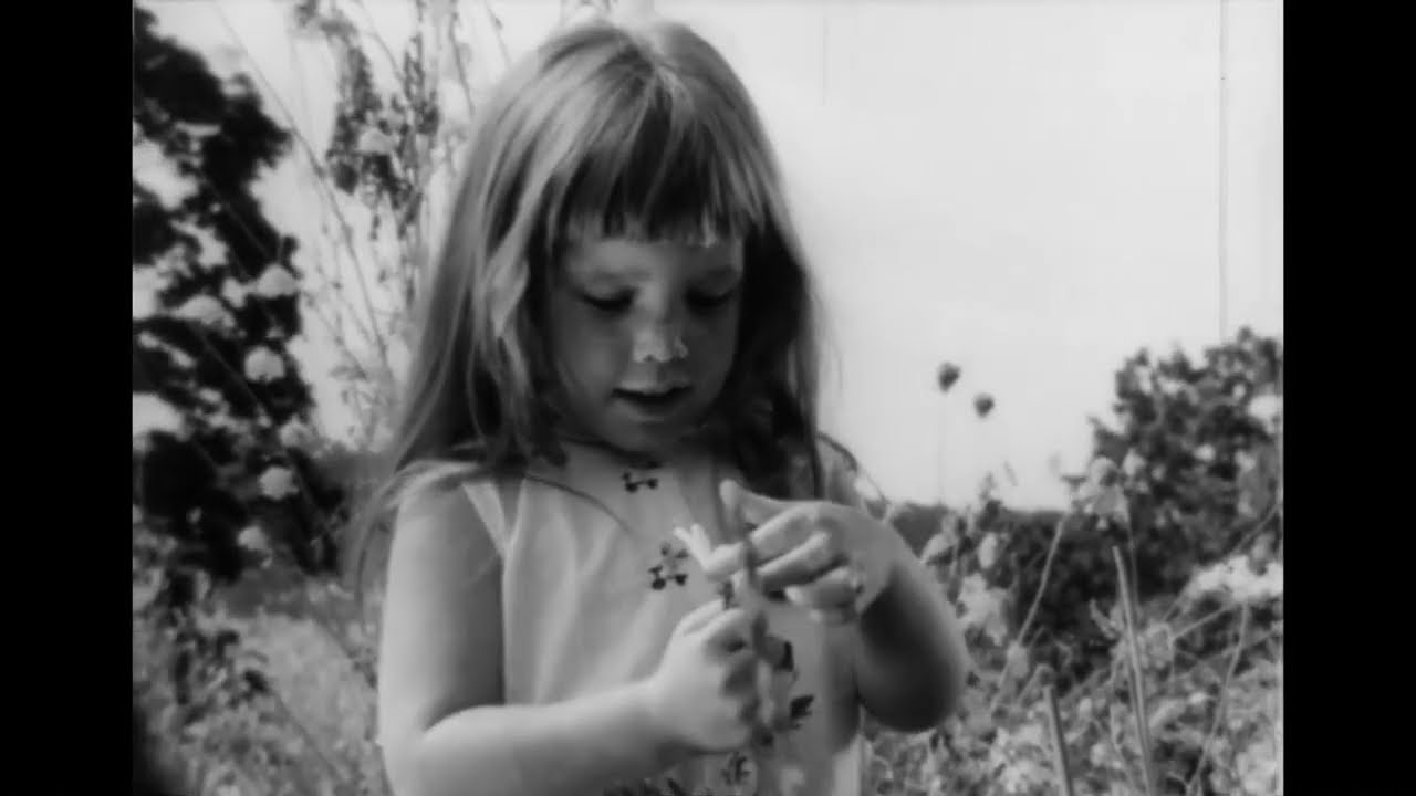 Предвыборный ролик Линдона Б. Джонсона 1964 года &laquo;Дейзи&raquo;