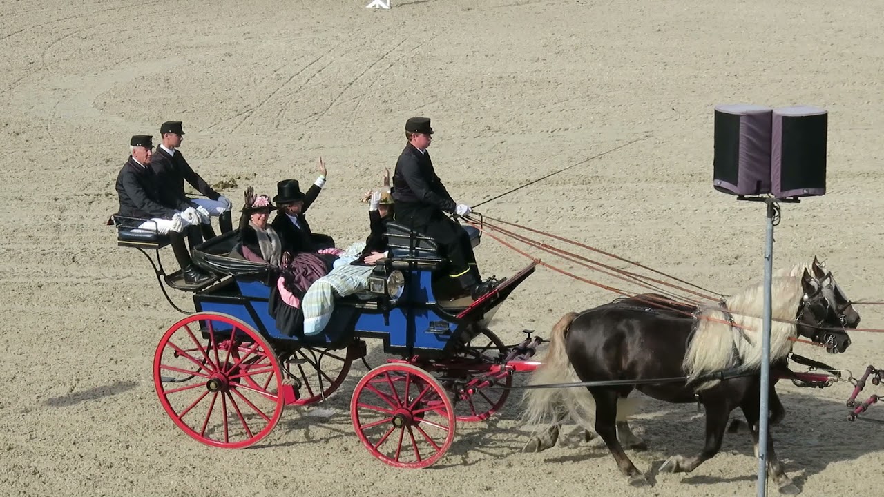 2021 Hengstparade Marbach - Hochadel 1860 von W&uuml;rttemberg e.V.