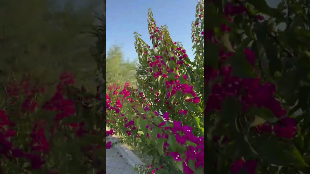 Yazın kamp tatilimizden hatıra #travel #keşfet #türkiye #tatil 