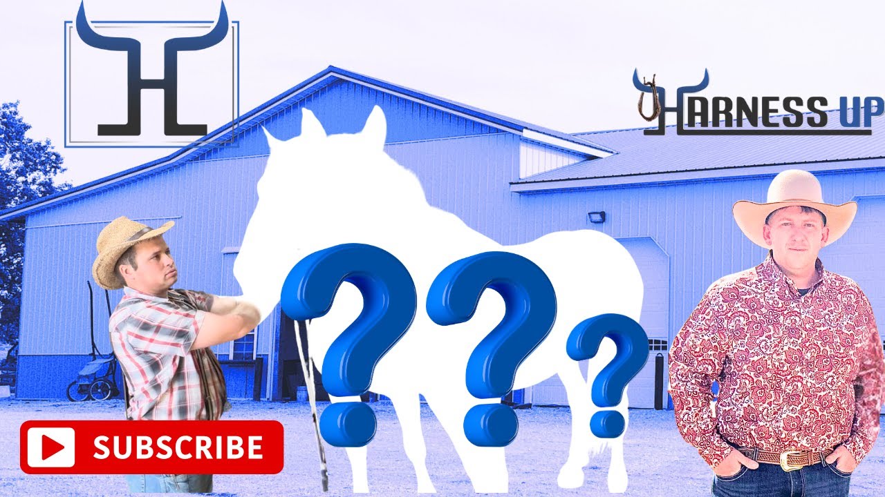Inside the Barn: Draft Horse Teams, Hidden Gems & More!