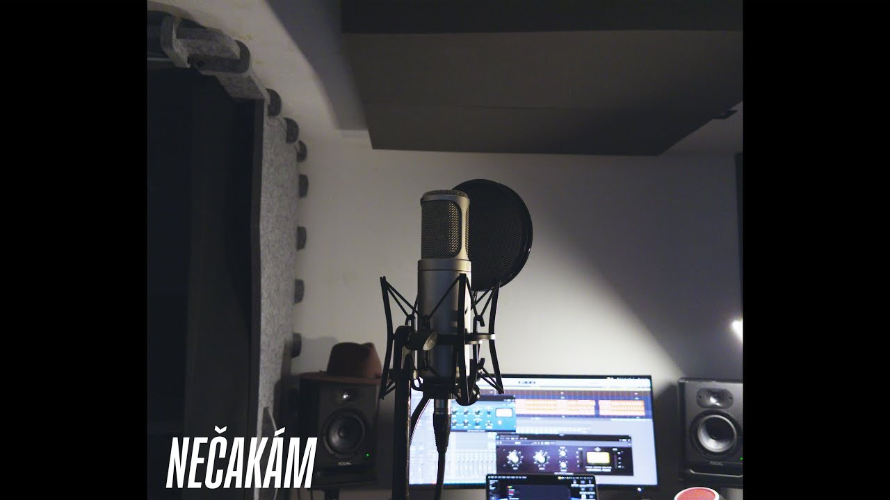 Dyzivv - Nečak&aacute;m (Video)