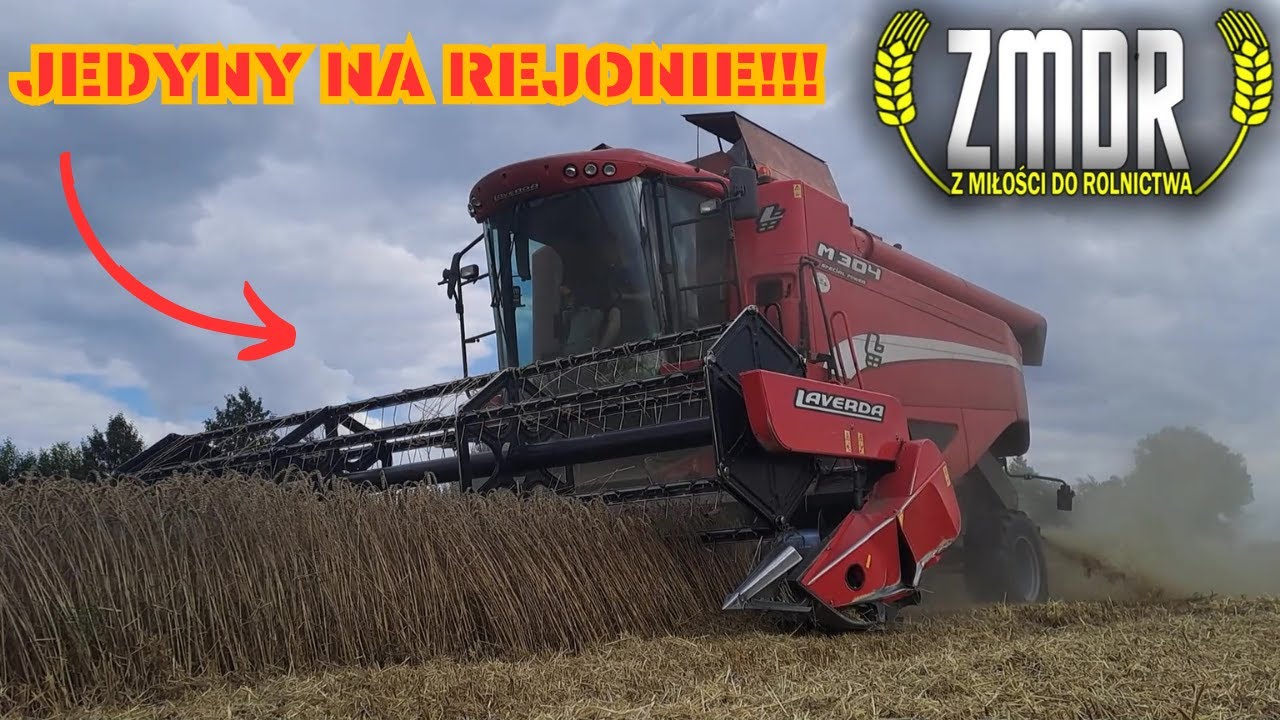 😁LAVERDA M304😮CO TO JEST??!!🤔🤔ŻNIWA 2023 Z JEDYNYM TAKIM KOMBAJNEM NA OKOLICY!🔥😮 #laverda