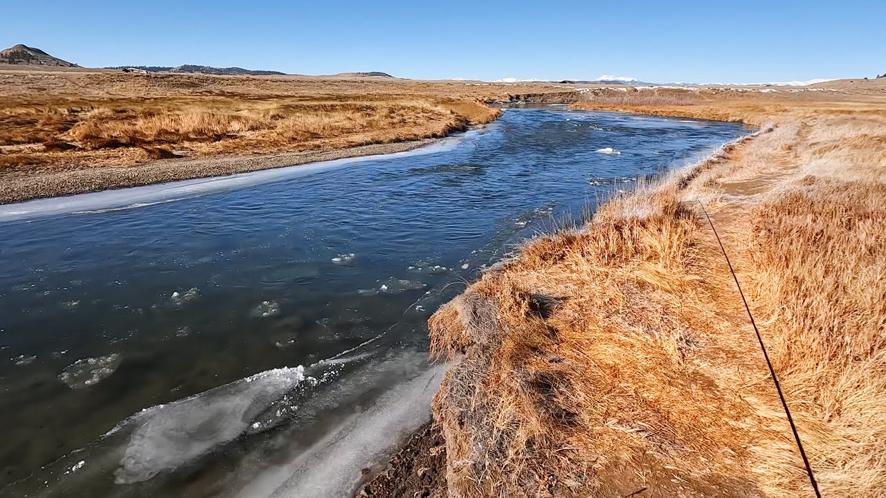 Dry Flies In Winter | Colorado Fly Fishing