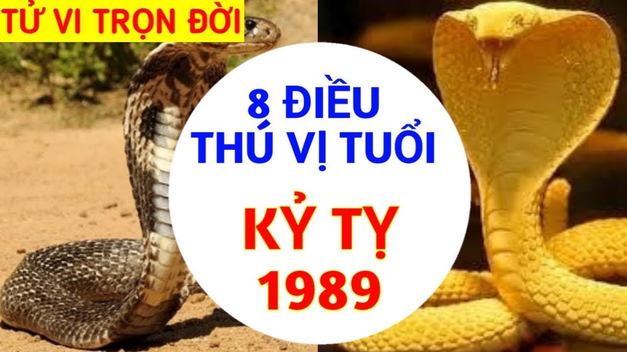 8 ĐIỀU THÚ VỊ VỀ TUỔI KỶ TỴ 1989 SỰ NGHIỆP TÍNH CÁCH VẬN MỆNH NGƯỜI TUỔI TỴ I TỬ VI 12 CON GIÁP