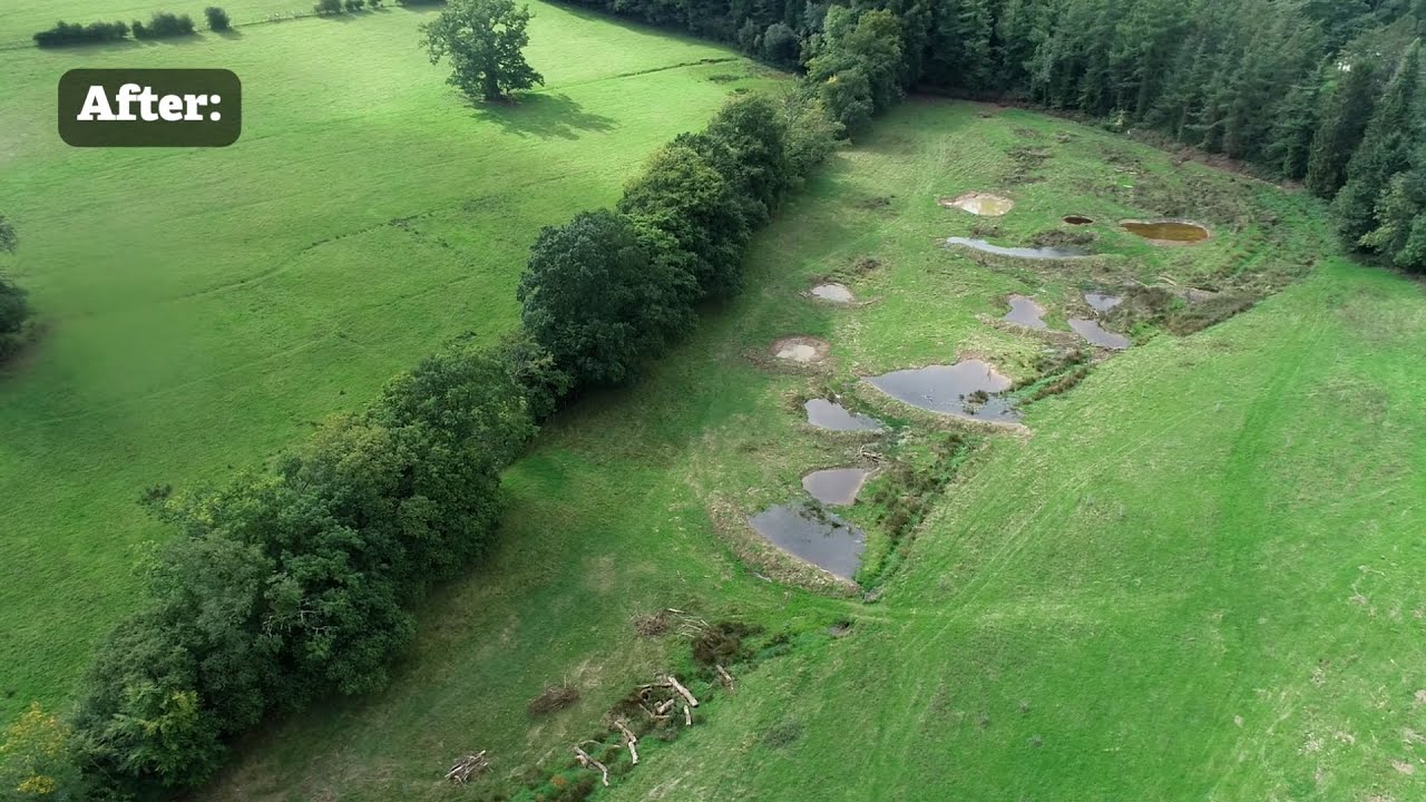 How does restoring a wetland help local people, farmers, and wildlife?